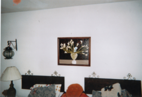 Untitled Photo
